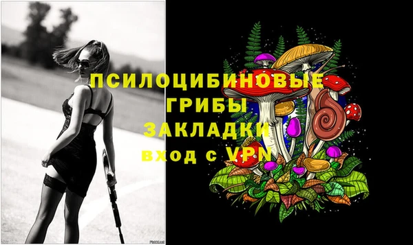 трава Бородино