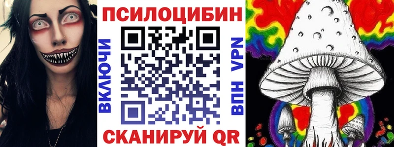 Купить  Урус-Мартан  Псилоцибиновые грибы Psilocybe 
